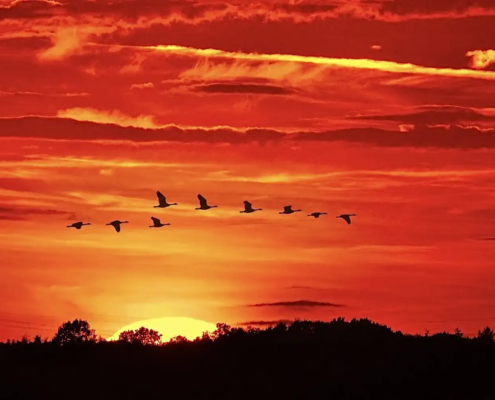 Twilight zone A-3
